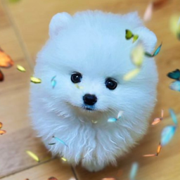 体育培训管理软件